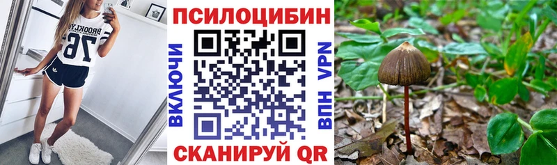 Псилоцибиновые грибы Psilocybine cubensis  где купить   Ярцево 