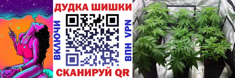 Бошки Шишки Amnesia  Ярцево 